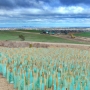 Yarra Valley Water Epping